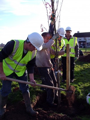 Go Green Go - Tree planting