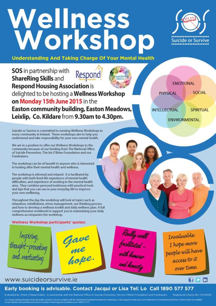 Leixlip WW poster-1