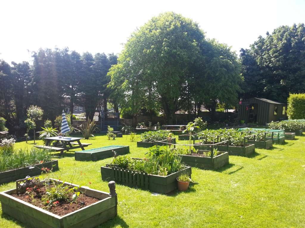 Allotment 12 May 16