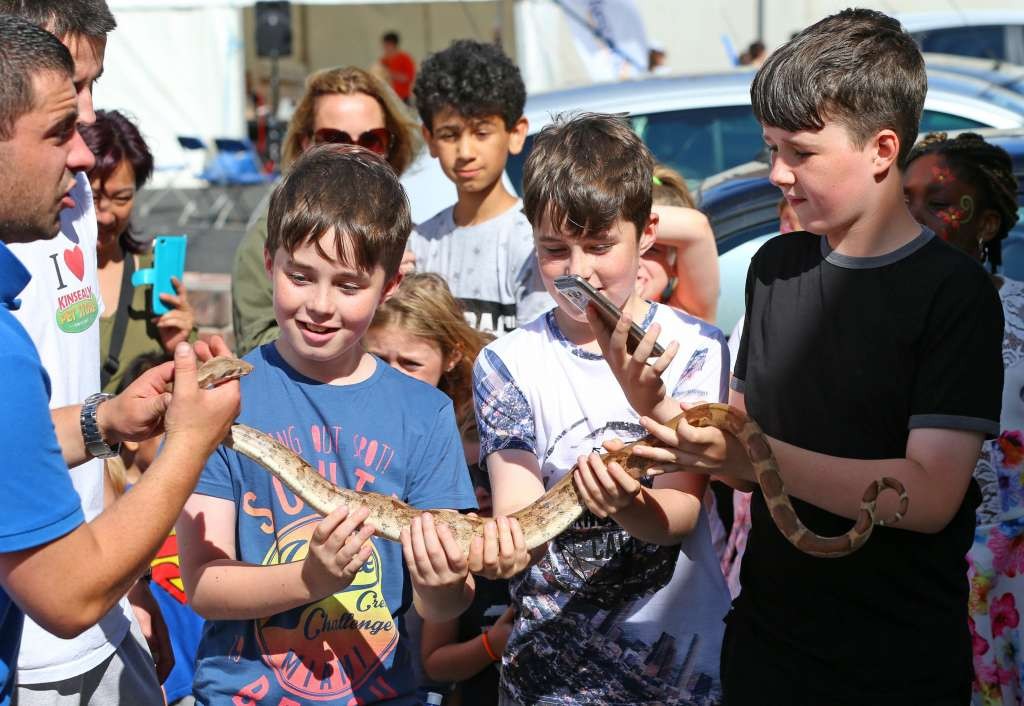 REspond! Lucan snake friends