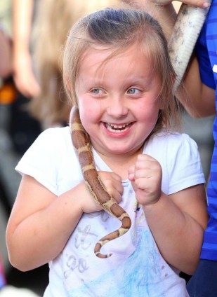 Respond Lucan little snake