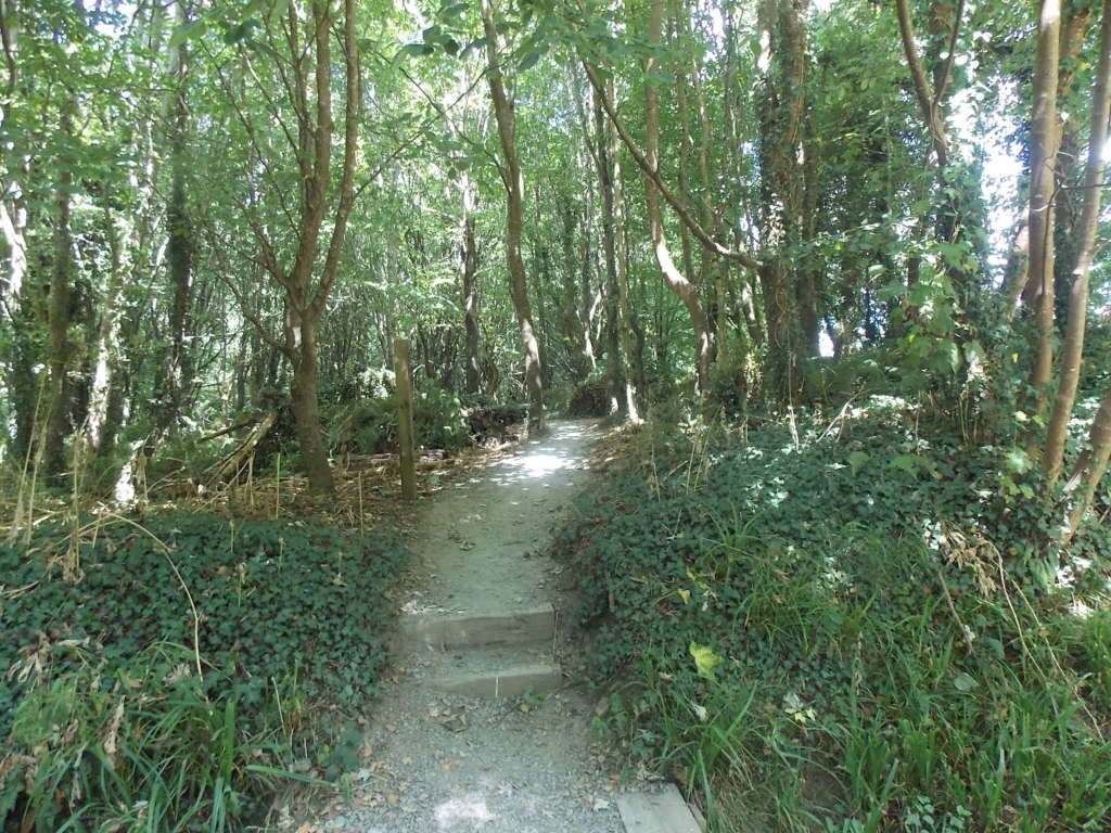  width=